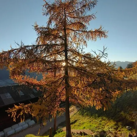 Feriehus Staudenhof Naturnah Und Idylisch *