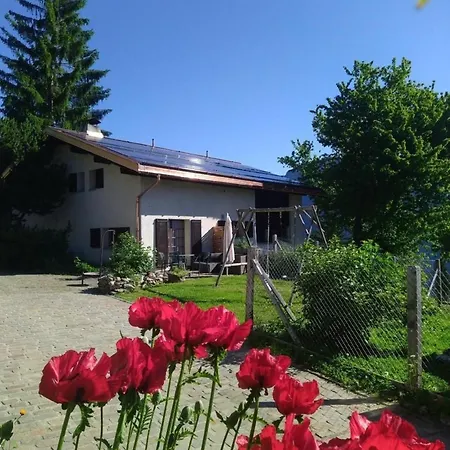 Staudenhof Naturnah Und Idylisch Feriehus