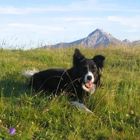 Staudenhof Naturnah Und Idylisch * Praz (Graubunden)